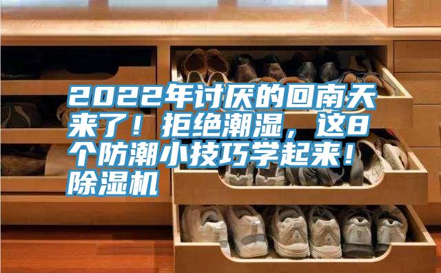 2022年討厭的回南天來了！拒絕潮濕，這8個防潮小技巧學起來！除濕機