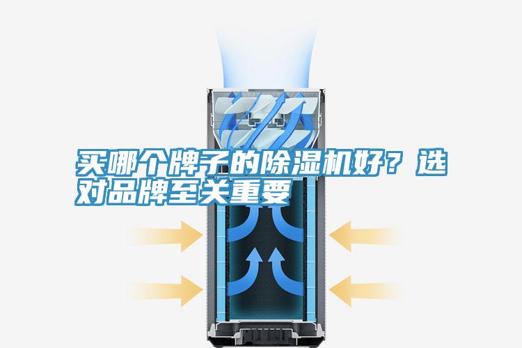 買哪個牌子的除濕機好？選對品牌至關(guān)重要