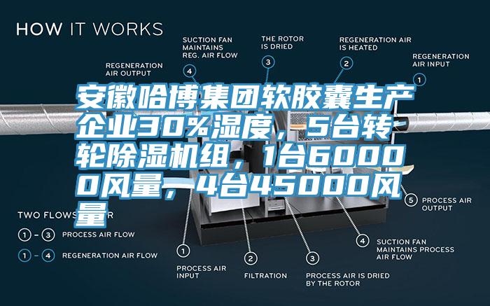 安徽哈博集團(tuán)軟膠囊生產(chǎn)企業(yè)30%濕度，5臺轉(zhuǎn)輪除濕機(jī)組，1臺60000風(fēng)量，4臺45000風(fēng)量