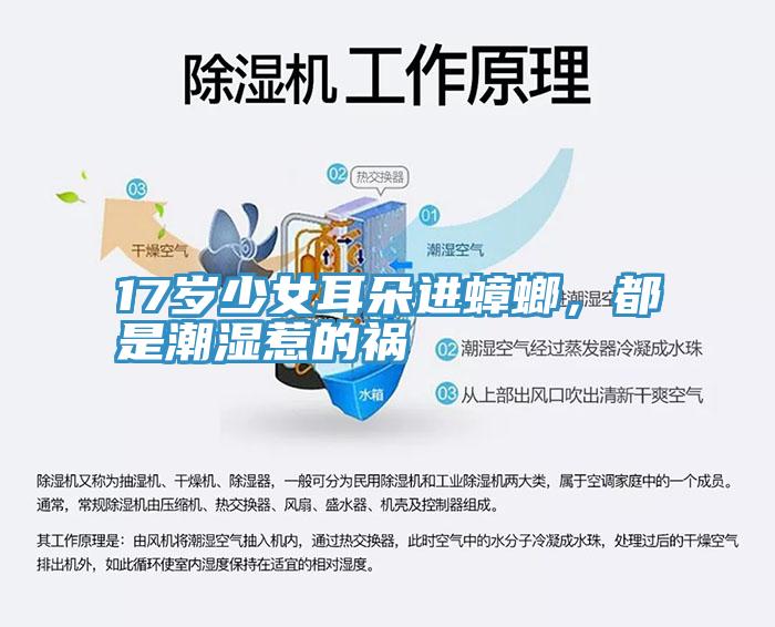 17歲少女耳朵進(jìn)蟑螂，都是潮濕惹的禍