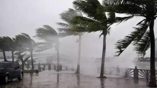 8月臺(tái)風(fēng)雨即將來(lái)，除濕機(jī)還得用起來(lái)