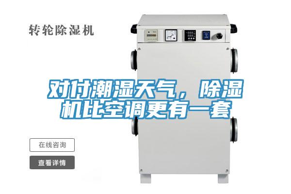對付潮濕天氣，除濕機比空調(diào)更有一套
