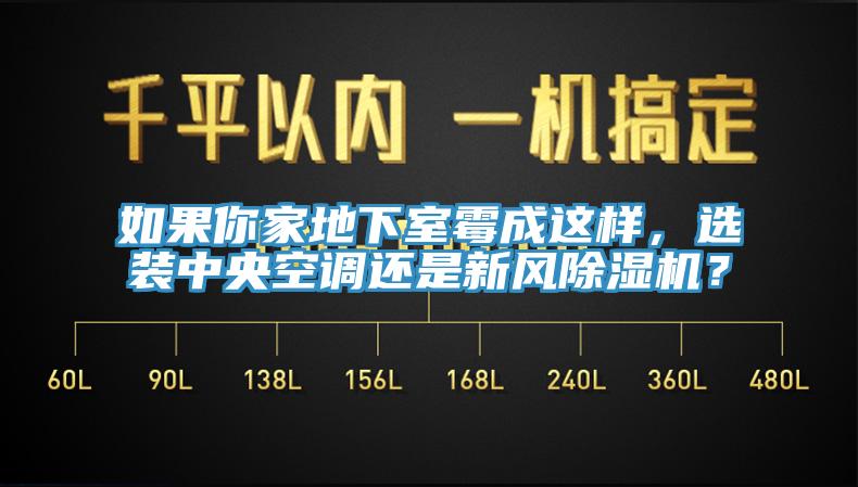 如果你家地下室霉成這樣，選裝中央空調(diào)還是新風(fēng)除濕機？