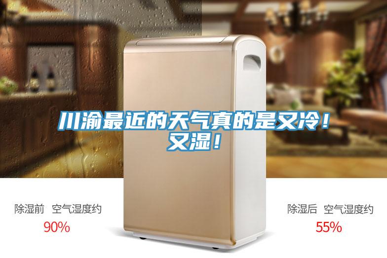 川渝最近的天氣真的是又冷！又濕！