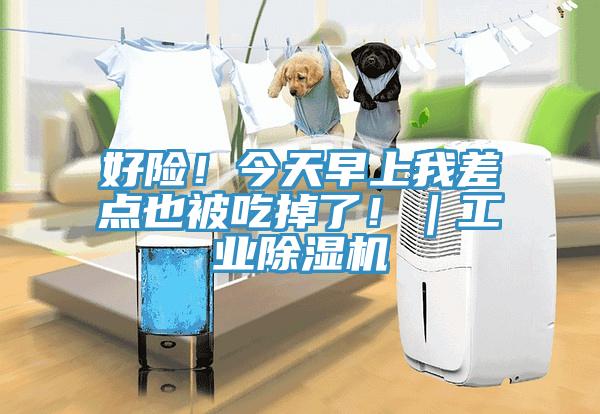 好險(xiǎn)！今天早上我差點(diǎn)也被吃掉了！｜工業(yè)除濕機(jī)