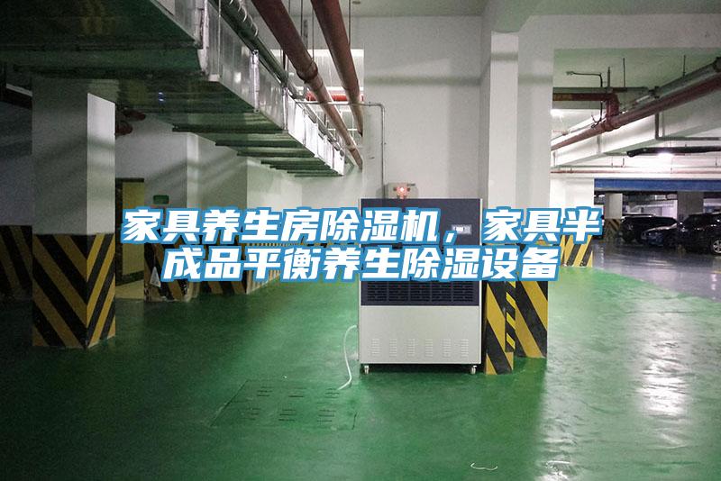 家具養(yǎng)生房除濕機(jī)，家具半成品平衡養(yǎng)生除濕設(shè)備