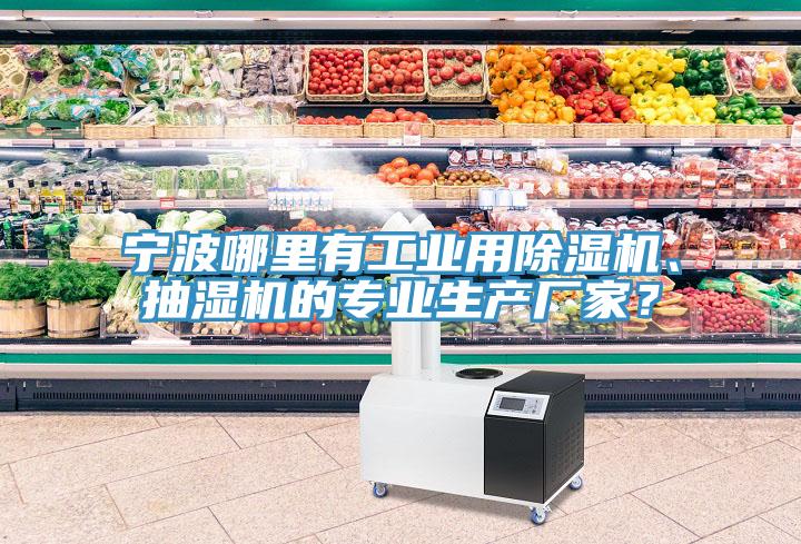 寧波哪里有工業(yè)用除濕機、抽濕機的專業(yè)生產(chǎn)廠家？