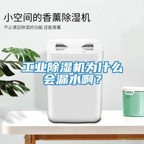 工業(yè)除濕機(jī)為什么會(huì)漏水啊？