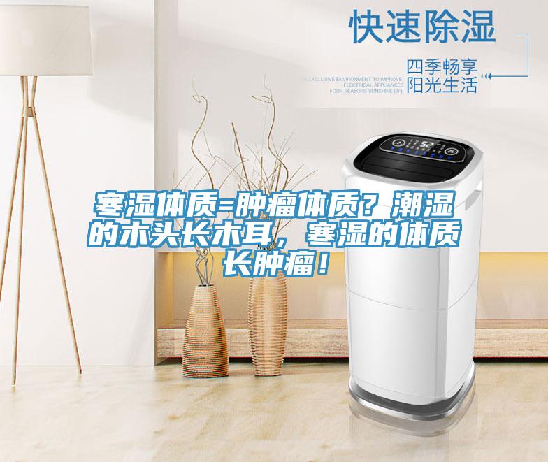 寒濕體質=腫瘤體質？潮濕的木頭長木耳，寒濕的體質長腫瘤！