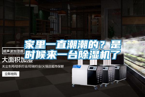 家里一直潮潮的？是時(shí)候來(lái)一臺(tái)除濕機(jī)了