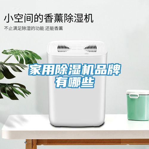 家用除濕機(jī)品牌有哪些