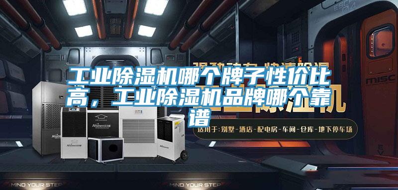 工業(yè)除濕機(jī)哪個(gè)牌子性價(jià)比高，工業(yè)除濕機(jī)品牌哪個(gè)靠譜