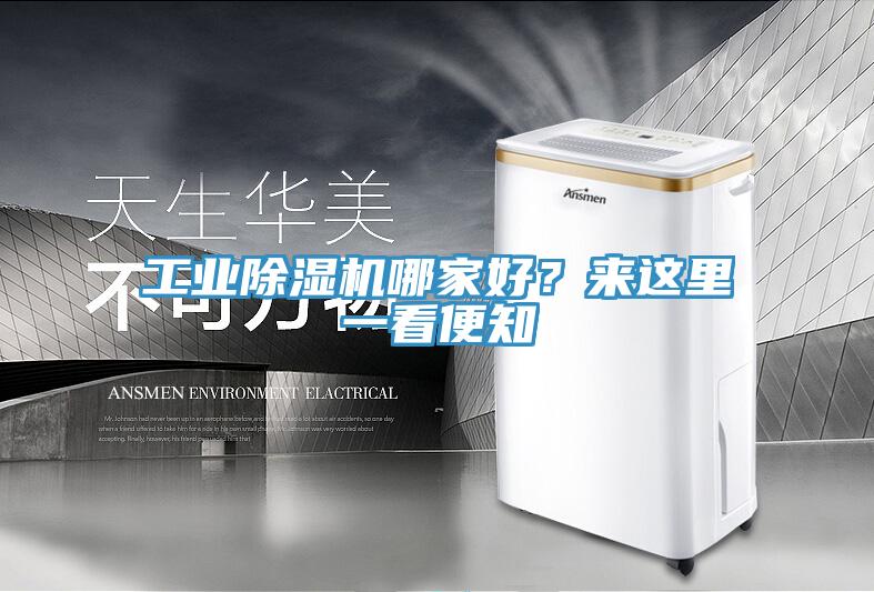 工業(yè)除濕機(jī)哪家好？來這里一看便知