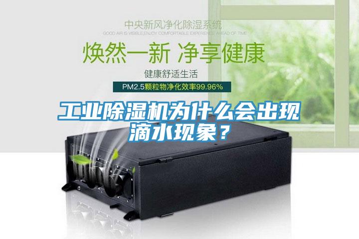 工業(yè)除濕機為什么會出現(xiàn)滴水現(xiàn)象？