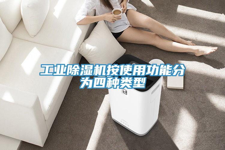 工業(yè)除濕機(jī)按使用功能分為四種類型