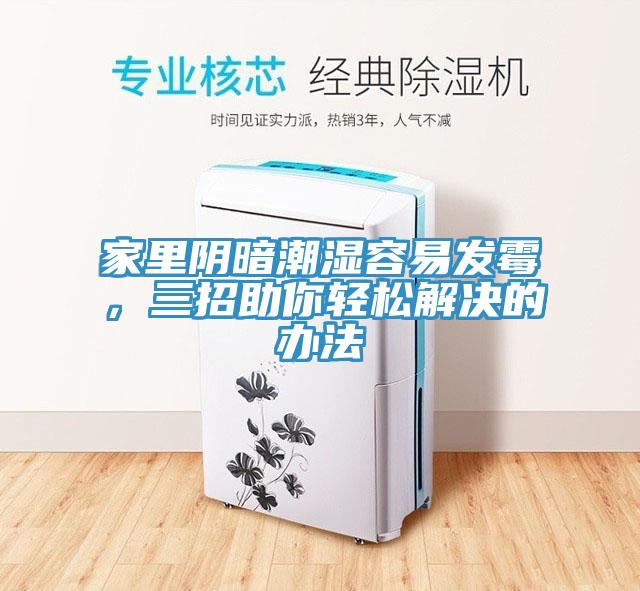 家里陰暗潮濕容易發(fā)霉，三招助你輕松解決的辦法