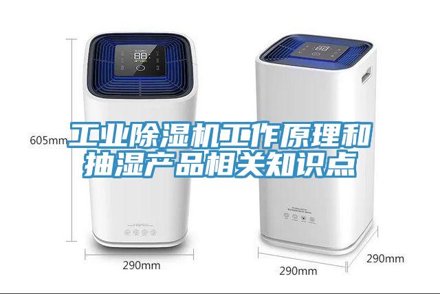 工業(yè)除濕機工作原理和抽濕產(chǎn)品相關知識點