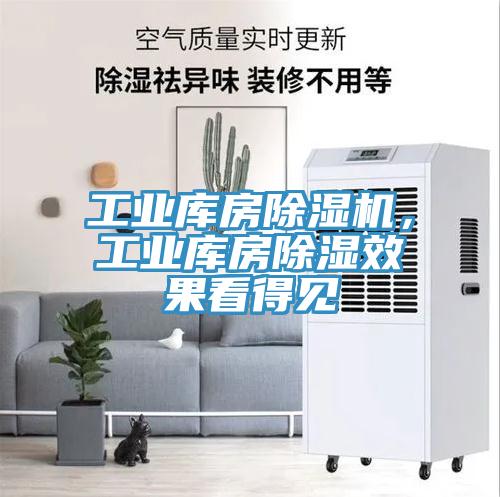 工業(yè)庫房除濕機，工業(yè)庫房除濕效果看得見