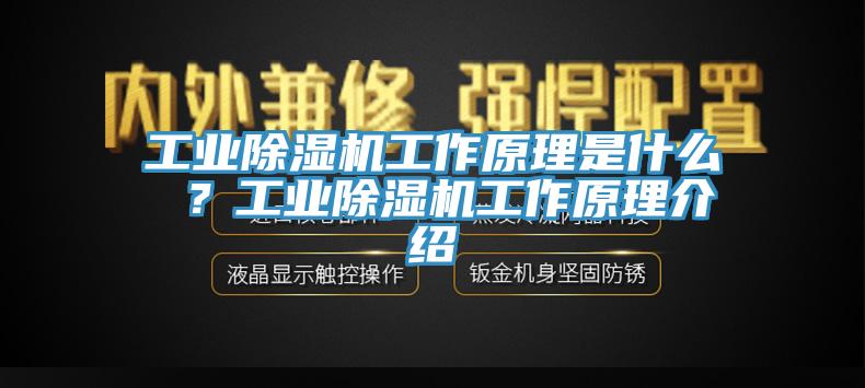 工業(yè)除濕機(jī)工作原理是什么 ？工業(yè)除濕機(jī)工作原理介紹