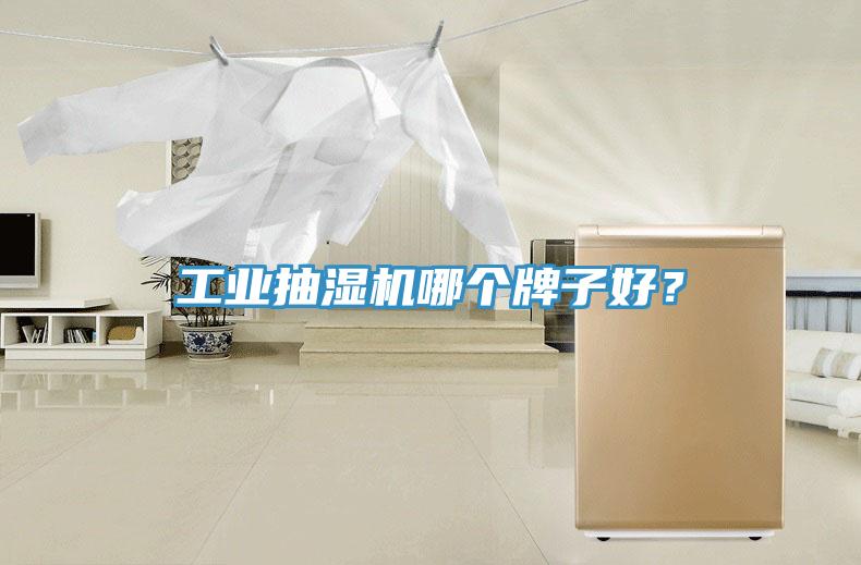 工業(yè)抽濕機哪個牌子好？