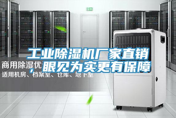工業(yè)除濕機(jī)廠家直銷，眼見為實更有保障
