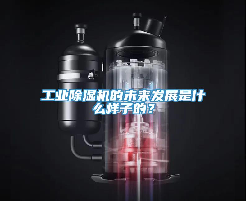 工業(yè)除濕機(jī)的未來發(fā)展是什么樣子的？