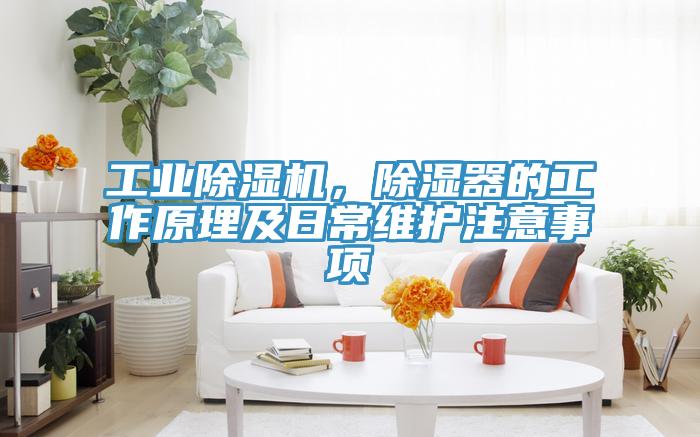 工業(yè)除濕機(jī)，除濕器的工作原理及日常維護(hù)注意事項