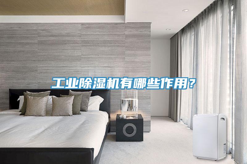 工業(yè)除濕機(jī)有哪些作用？