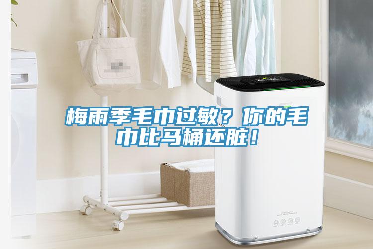 梅雨季毛巾過敏？你的毛巾比馬桶還臟！
