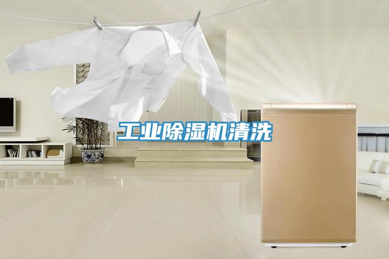 工業(yè)除濕機(jī)清洗