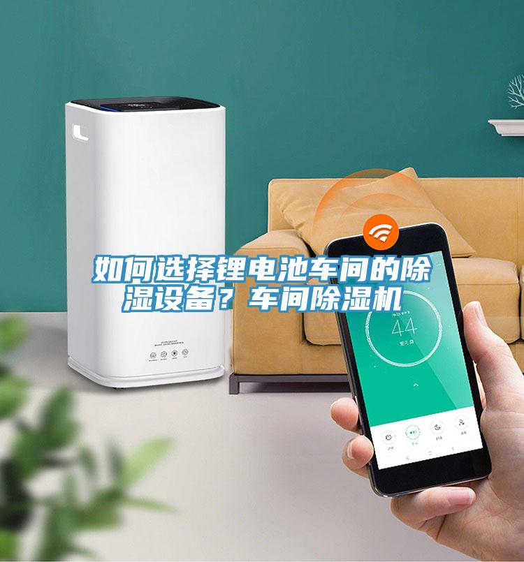 如何選擇鋰電池車間的除濕設(shè)備？車間除濕機(jī)
