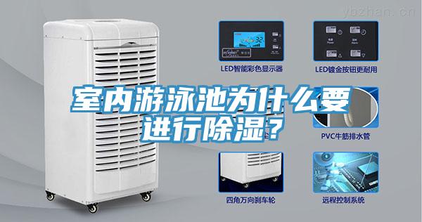 室內(nèi)游泳池為什么要進(jìn)行除濕？