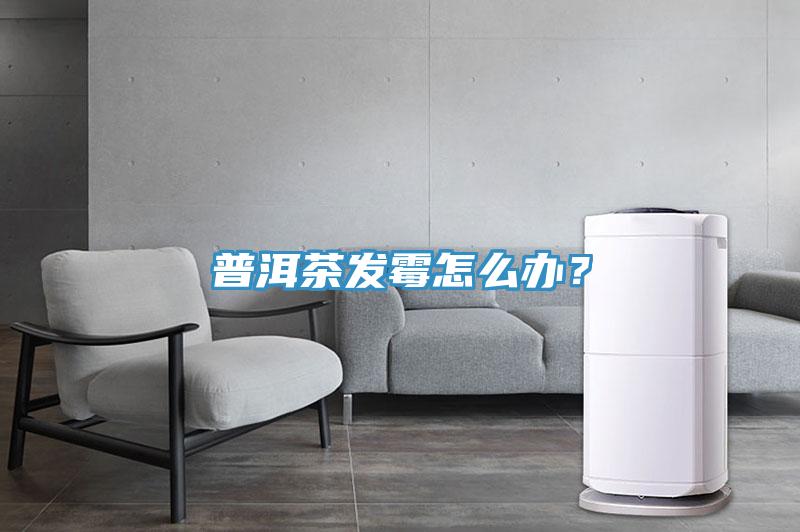 普洱茶發(fā)霉怎么辦？