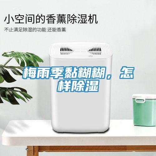 梅雨季黏糊糊，怎樣除濕