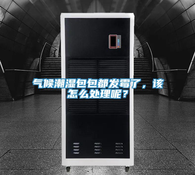 氣候潮濕包包都發(fā)霉了，該怎么處理呢？