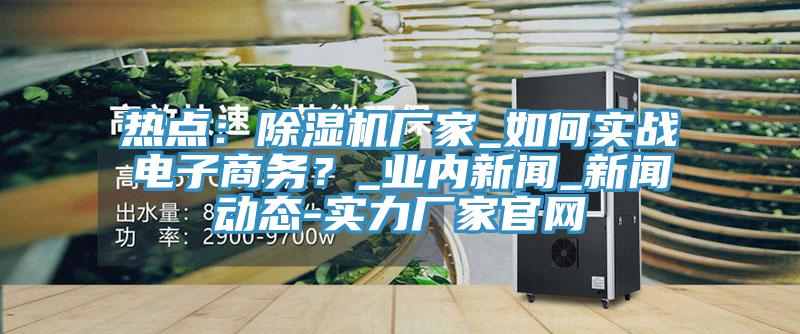 熱點：除濕機廠家_如何實戰(zhàn)電子商務(wù)？_業(yè)內(nèi)新聞_新聞動態(tài)-實力廠家官網(wǎng)