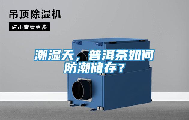 潮濕天，普洱茶如何防潮儲(chǔ)存？