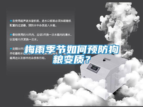 梅雨季節(jié)如何預防狗糧變質？