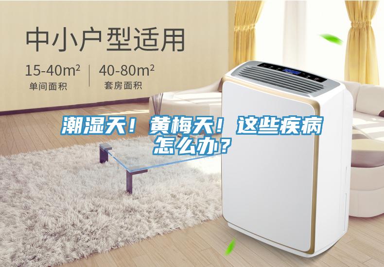 潮濕天！黃梅天！這些疾病怎么辦？