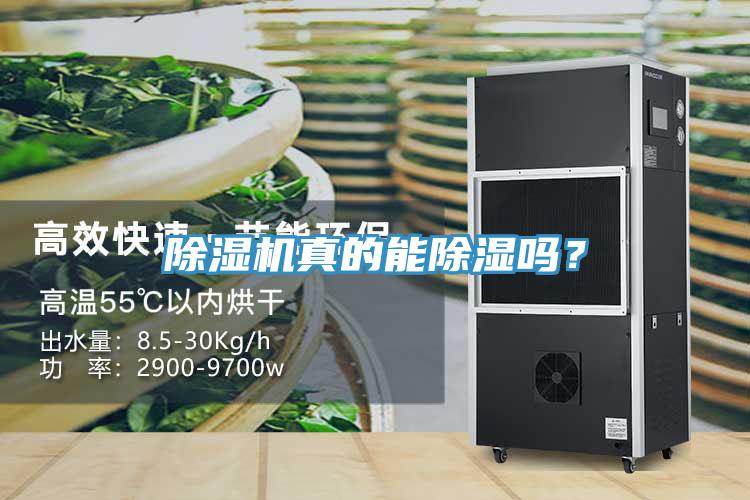除濕機(jī)真的能除濕嗎？