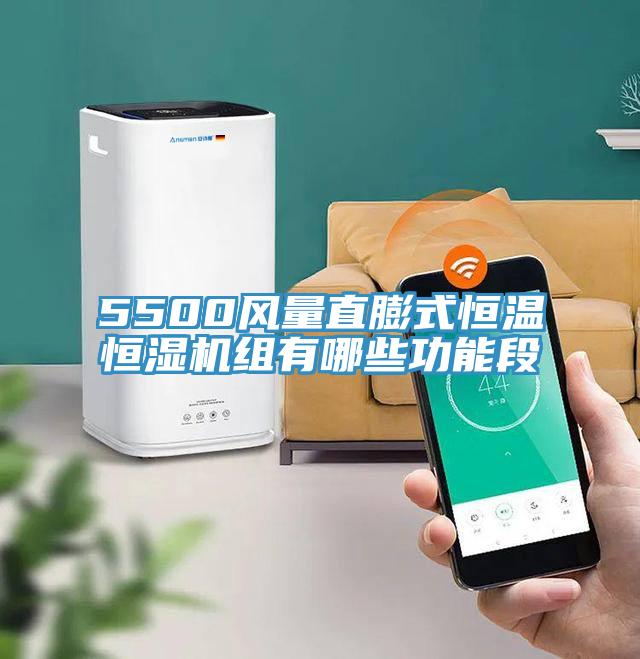 5500風(fēng)量直膨式恒溫恒濕機(jī)組有哪些功能段