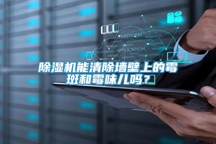 除濕機(jī)能清除墻壁上的霉斑和霉味兒嗎？