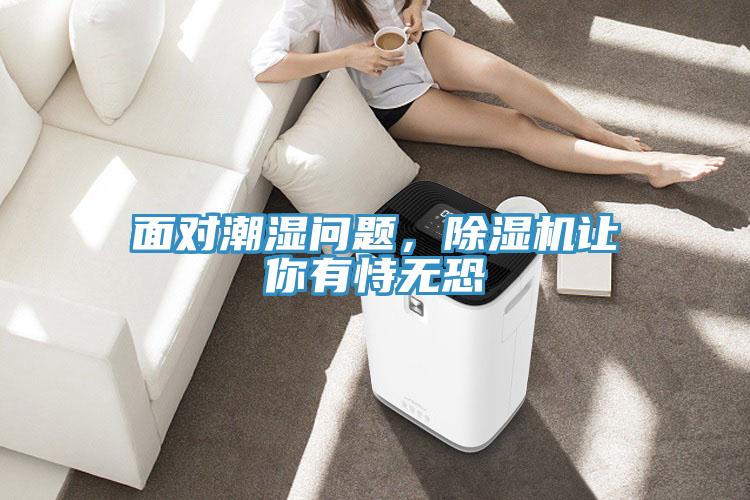 面對潮濕問題，除濕機讓你有恃無恐