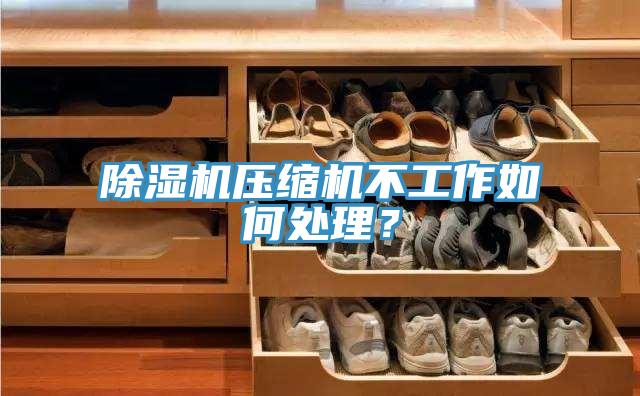 除濕機(jī)壓縮機(jī)不工作如何處理？