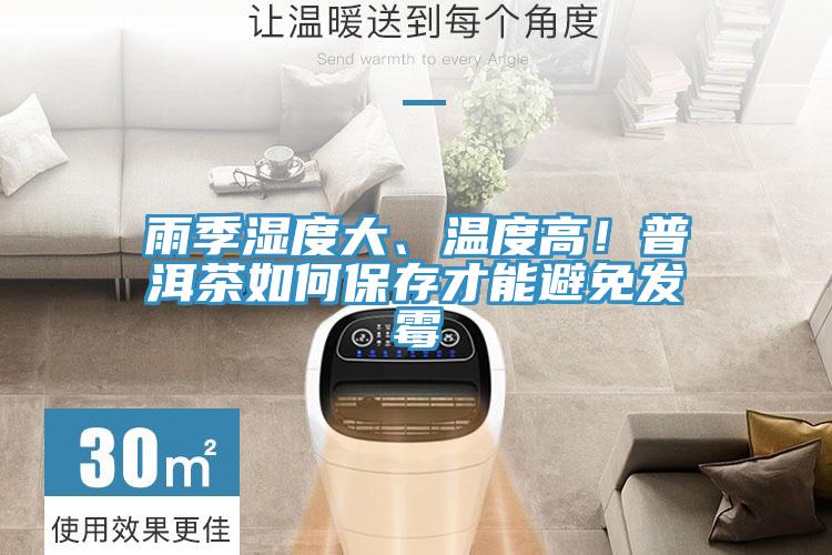 雨季濕度大、溫度高！普洱茶如何保存才能避免發(fā)霉