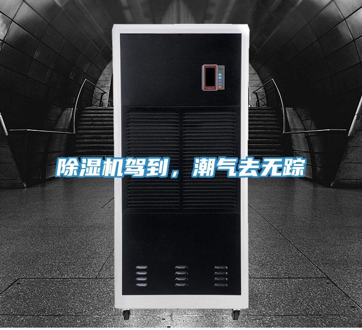 除濕機(jī)駕到，潮氣去無(wú)蹤