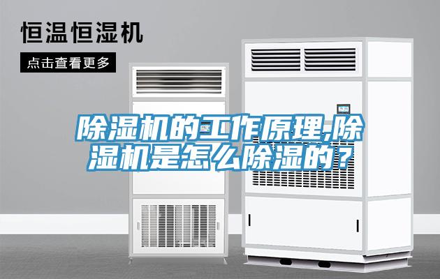 除濕機的工作原理,除濕機是怎么除濕的？