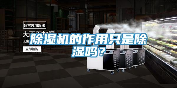 除濕機(jī)的作用只是除濕嗎？