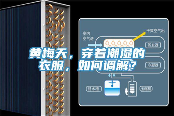 黃梅天，穿著潮濕的衣服，如何調(diào)解？
