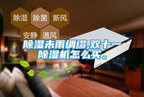除濕未雨綢繆,雙十一除濕機(jī)怎么買。